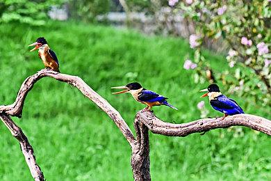 《机甲战魔：神话之裔》更新细节公布 多项修复调整