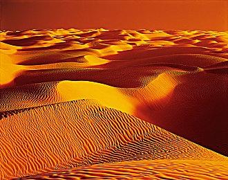 光荣特库摩开启双11优惠活动 游戏最低至三四折